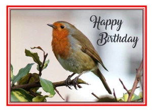 ROBIN BIRD WATCHERS HAPPY BIRTHDAY QUALITY GLOSS CARD FREE POST 1ST CLASS - Foto 1 di 2
