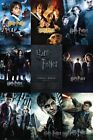 Harry Potter 1-8 - Movie Poster (All Movie Posters - Grid) (Size: 24' X 36')