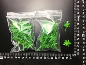 Juweela 1/32 Sugar Beet Plants (50pcs) - Bild 1 von 1