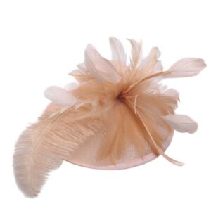 Fashion Women Fascinator Mesh Hat Ribbons Feathers Hair Clip Wedding Party Hat