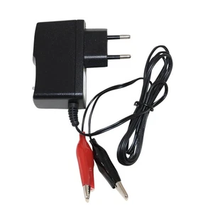 Ladegerät für 12 V Batterie für Piaggio Free 50 1 50 km/h mit Kat FCS1T - Picture 1 of 1