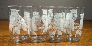 Vintage Libbey White Owls on Clear Tumbler Drinking Glasses 5” Tall Set of 4 - Picture 1 of 7