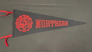 Vtg 60s 70s Northern Illinois University Full Sized 29" Felt Sports Pennant EX - Picture 1 of 7