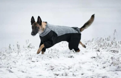 Abrigo Rukka Pets para Perro y Cachorro - Conjunto Subrima Tejido Negro... ¡VENTA A MITAD DE PRECIO!¡!