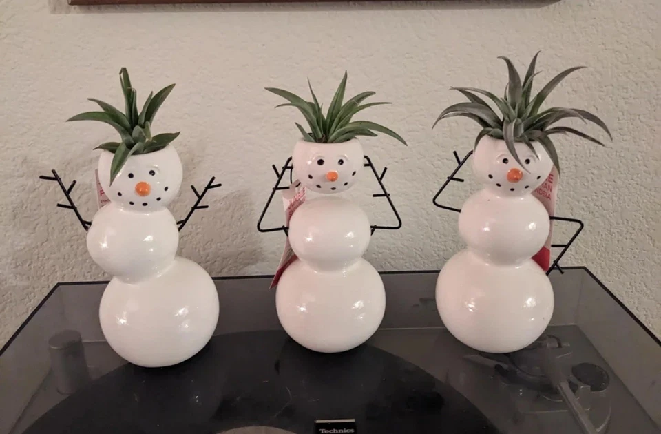 TRADER JOE'S Trader Joes Jumble Snowman Tillandsia Succulent Air Planter