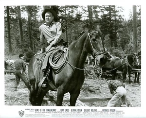 GUNS OF THE TIMBERLAND: 1 US-Pressefoto (20x25cm) ALAN LADD JEANNE CRAIN -7- - Bild 1 von 1