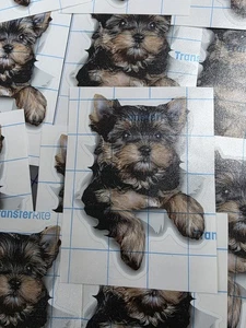 Yorkshire Dog Sticker 5 x 3.5" in Full Color Print 3M Film White Outline - Picture 1 of 5