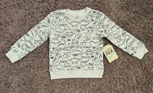 Maximus REX Boys 4T Brown Long Sleeve Sweater with Dinosaur Print – NWT - Picture 1 of 9
