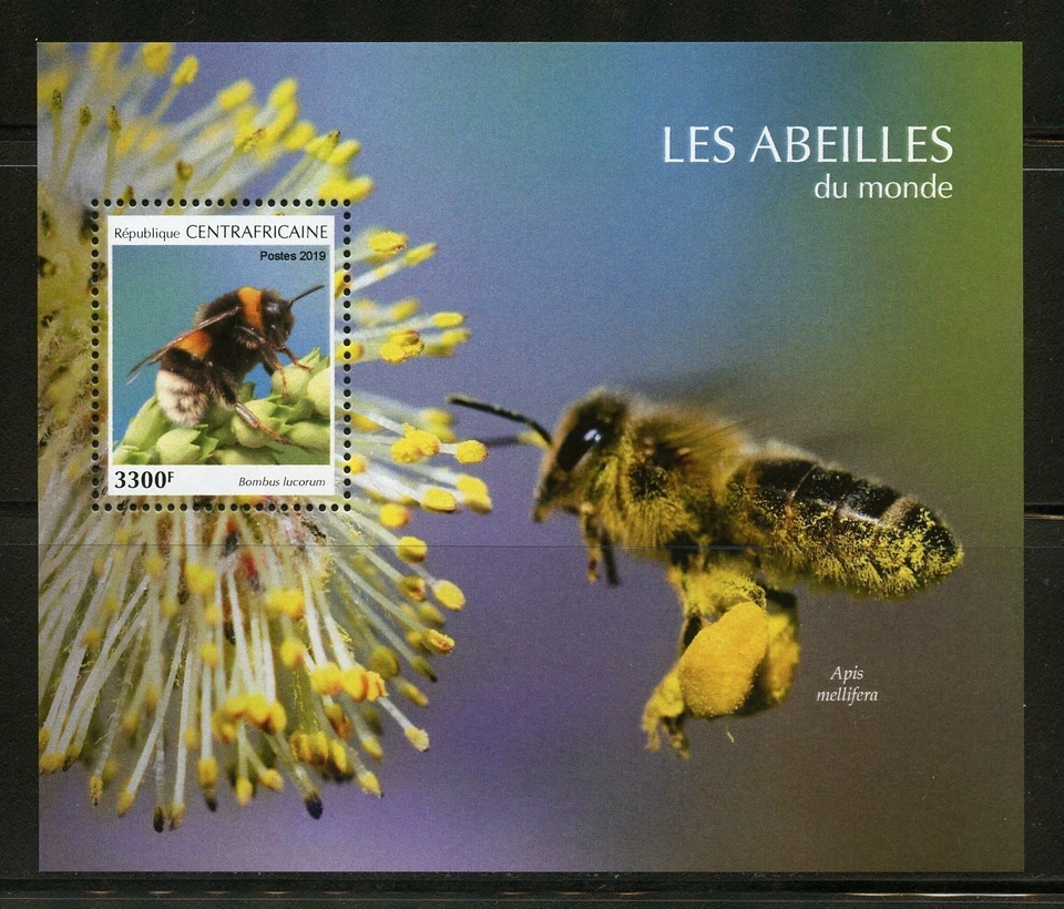 Centrale Africa 2019 Api Souvenir Foglio come Nuovo Nh - Immagine 1 di 1