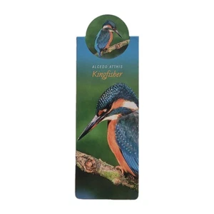 Cardmarks Kingfisher Bird Wild Nature Magnetic Magnet UK Company If 2402 Y2k 00s - Imagen 1 de 13