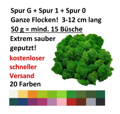 Muwse ohne Dreck ca 15 Büsche Bäume Hecken Rentier- Islandmoos Spur 1/G/0 -50g - Bild 1 von 3