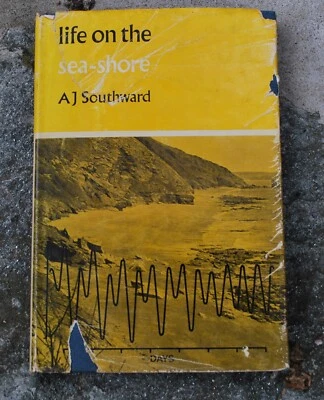 "Life On The Sea Shore" A J Southward Vintage 1967  Marine Biology - Dust Jacket - Imagem 1 de 4