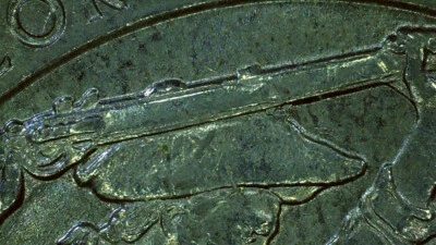 2017 P Indiana ATB Geoge Rogers Clark Quarter Error! Die Chips - Image 1 of 4