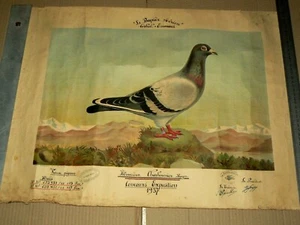 Reisetaube Korb Essonnes 1937 Litho Poster Benard Kork Poster - Bild 1 von 2