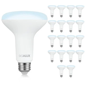 18 Pack Dimmable LED BR30 Bulbs 65W Equivalent 5000K Daylight E26 Base - Picture 1 of 5
