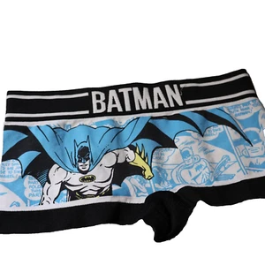DC Comics Girls Big Licensed Seamless BATMAN boy Short Panties Small 5 - Picture 1 of 9