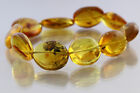 Fossil Insects Genuine Baltic Amber Beads Stretch Unisex Bracelet 16.7G 190123-1