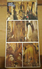 Vintage 80S Set Of 6 Color Postcards Luray Caverns Virginia Show Caves Uposted