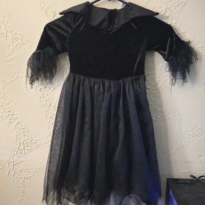 Girls Toddler Witch Costume Halloween Sz 3T - Image 1 of 4