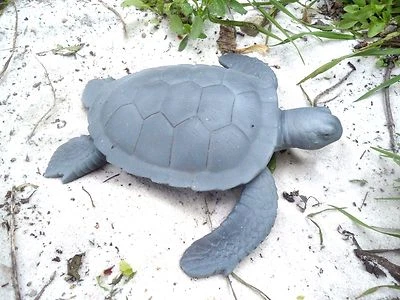 Molde de látex para tortugas marinas con plástico de respaldo de concreto molde de yeso 8" x 8" x 2" H Foto 1 de 4