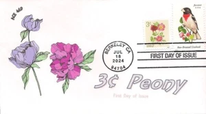 3¢ Peony-sheet Stamp- 2024-First Day Cover -ACE469 - Picture 1 of 1
