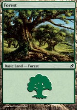 FOREST #299 Lorwyn MTG Magic the Gathering Cards DJMagic