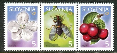 298 - SLOVENIA 2000 - Fruits in Slovenia - MNH Set - Image 1 of 2