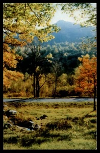 Postkarte Sharp Top - Gipfel des Otters, Blue Ridge Parkway, VA UNP - Bild 1 von 2