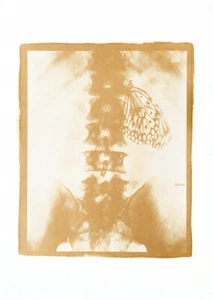 XANTHOTYPE PRINT (ORIGINAL, SIGNED) - PRINT DIMENSION 380x280 mm c.a. - Foto 1 di 1