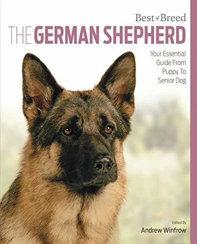 German Shepherd Dog: Best of Breed By Andrew Winfrow - Image 1 of 1