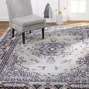 Premium Sakarya Traditional Medallion Border Area Rug Silver 3'7"x5'2" Rectangle - Picture 1 of 9