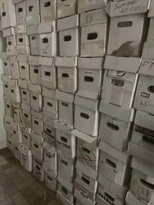25 Bulk Assorted X-Men Comic Book Lot Marvel Comics Books FLASH SALE!!!! - Picture 1 of 2