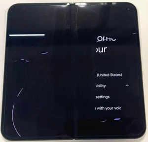 Google Pixel 9 Pro Fold 256GB Obsidian Black - Inneres LCD Problem - Bild 1 von 5