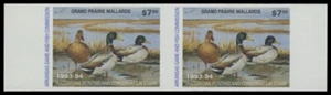 1993 Arkansas State Duck Stamp Mint Never Hinged. Original Gum. Imperf Pair - Picture 1 of 1