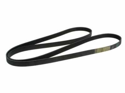 Cinturón multi costilla 58653HX 1992 supercargador para Buick Park Avenue 1991-1993 Foto 1 de 2