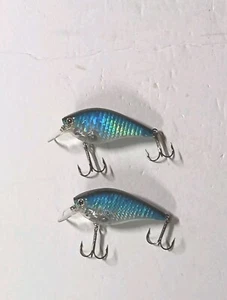 2 Lucky Craft Takahiro Omori 2004 Bass Master Classic Winner. Showcase Display L - Picture 1 of 1