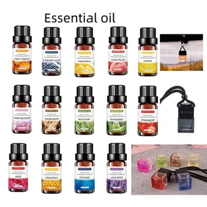 Long Lasting Scents Premium Car Home Fragrance Hanging Air Freshener Perfume Oil - Picture 1 of 38