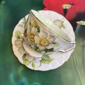 Aynsley Magnolia Dogwood Embossed Tea Cup & Saucer Green Inside Crocus Style - Picture 1 of 14