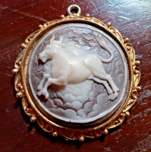 Broche colgante de cameo signo del zodiaco de Capricornio - Imagen 1 de 7
