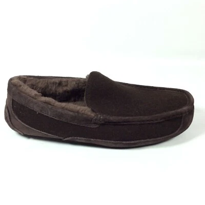 Zapatilla UGG Para Hombre Talla 8 Ascot Forrada de Lana Marrón Chocolate Foto 1 de 4