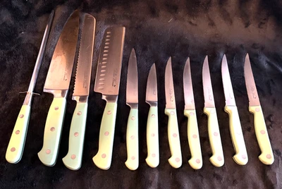 Lote de 10 cuchillos y afiladores Pioneer Woman... USADOS... Sage... SIN bloque Foto 1 de 4