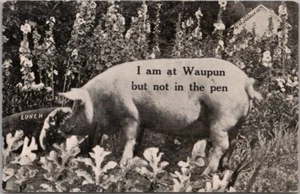 c1910s WAUPUN, Wisconsin Comic Greetings Postcard PIG "But Not in the Pen" - Picture 1 of 2