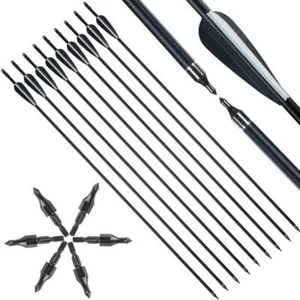 12 Pcs 31" Archery Mix Carbon Arrows Spine 500 Compound Recurve Longbow Hunting - Picture 1 of 7
