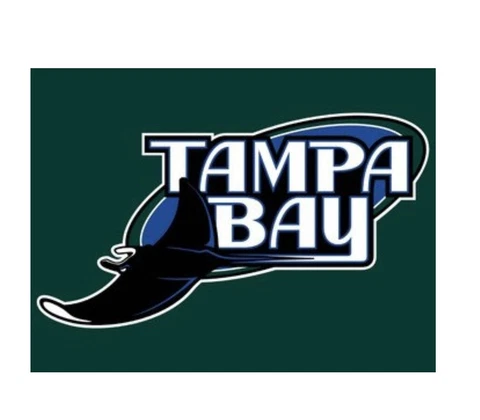 Tampa Bay Rays Flag 3x5ft Banner Polyester Baseball World Series rays016 Cover