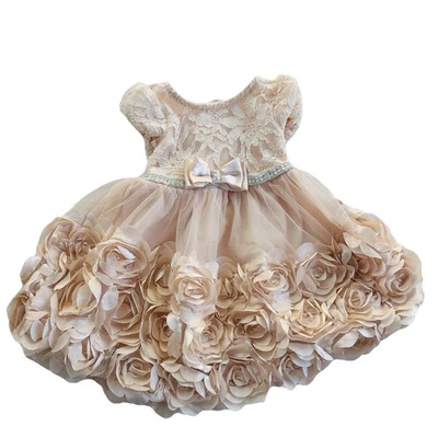 Vestido Bebé Nannette Champagne Rubor Floral 12 Mo Flor Niña Fiesta Formal Tul Foto 1 de 4
