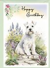 Miniature Schnauzer Dog Birthday Card (4"x 6") - blank inside - by Starprint