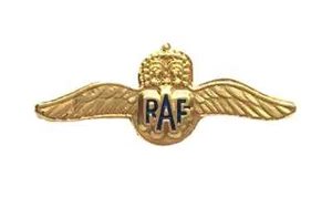 Small RAF Wings Military Hard High Quality Enamel Lapel Pin Badge - Picture 1 of 3