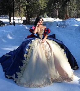 Victorian Fairytale Quinceanera Dresses Navy Blue Princess Customsized Luxury - Picture 1 of 10