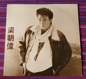 Tony Leung ( 梁朝偉 ) ~ Tony Leung ( Hong Kong Press ) Lp - Picture 1 of 11