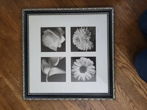 Framed Wall Art Black and White Photographs Floral Art Flowers Film Noire - Picture 1 of 5